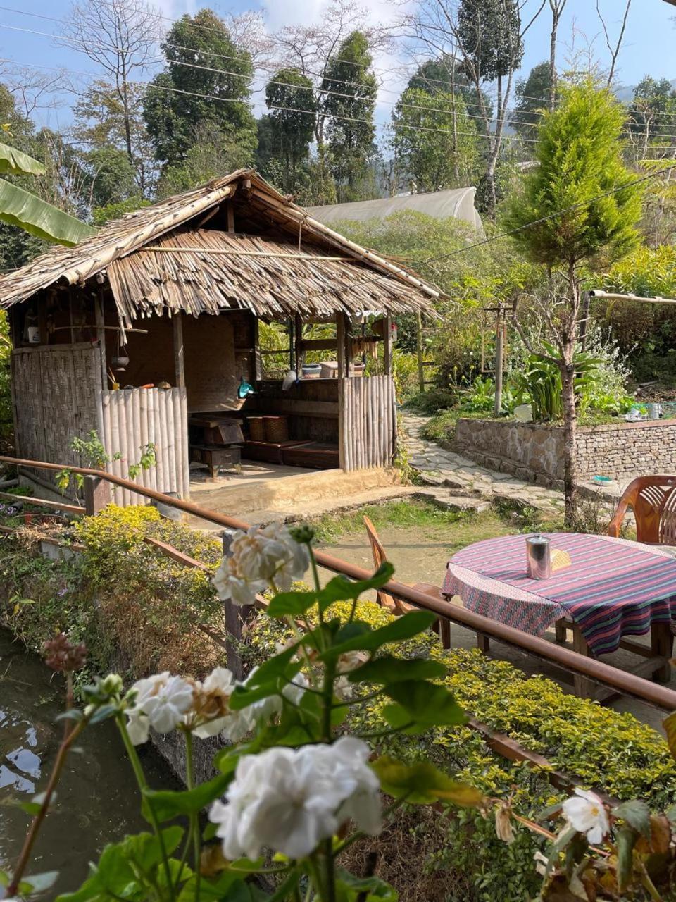 Daragaon Retreat Διαμέρισμα Pelling Εξωτερικό φωτογραφία